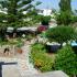 Studios Petra, ενοικιαζόμενα δωμάτια στο μέρος Naxos, Greece